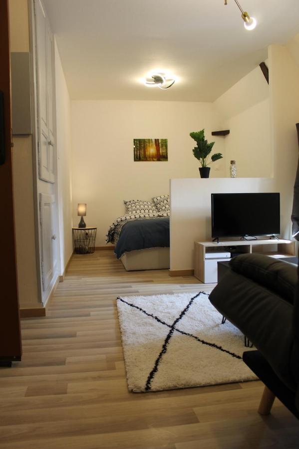 Les Du Prytanee Appartement La Flèche